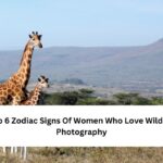 Top 6 Zodiac Signs Of Women Who Love Wildlife Photography