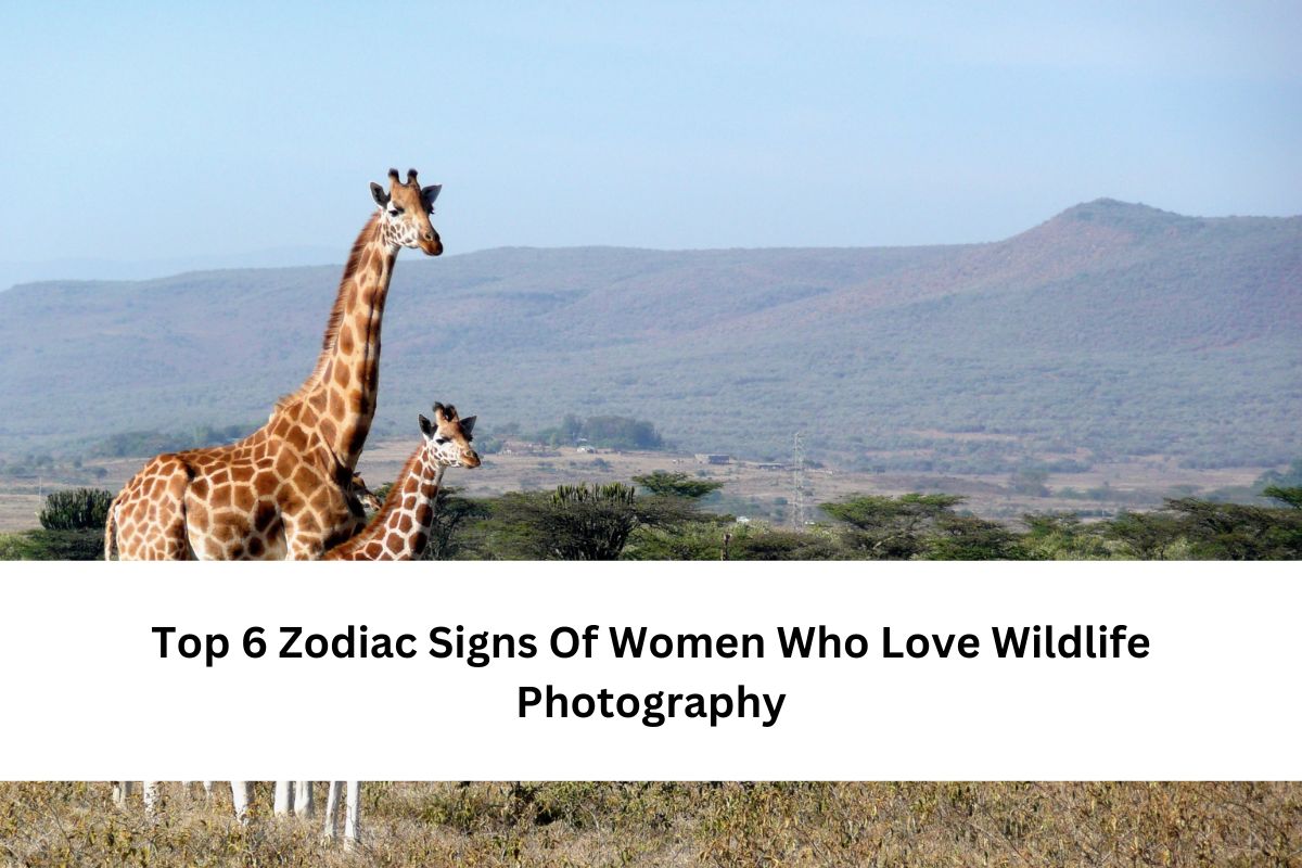 Top 6 Zodiac Signs Of Women Who Love Wildlife Photography