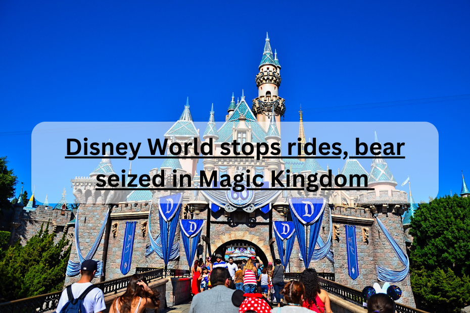 Disney World stops rides, bear seized in Magic Kingdom