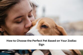 How to Choose the Perfect Pet Based on Your Zodiac Sign
