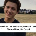 Marvel Removed Tom Holland's Spider-Man Cameo from 1 Phase 4 Movie (Confirmed)