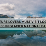 NATURE LOVERS MUST VISIT LOGAN PASS IN GLACIER NATIONAL PARK
