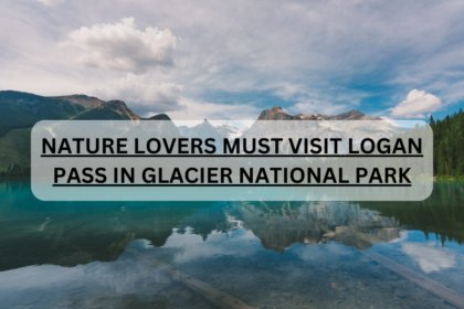 NATURE LOVERS MUST VISIT LOGAN PASS IN GLACIER NATIONAL PARK