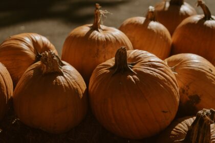 7 Fall Pumpkin Recipes Made Easy
