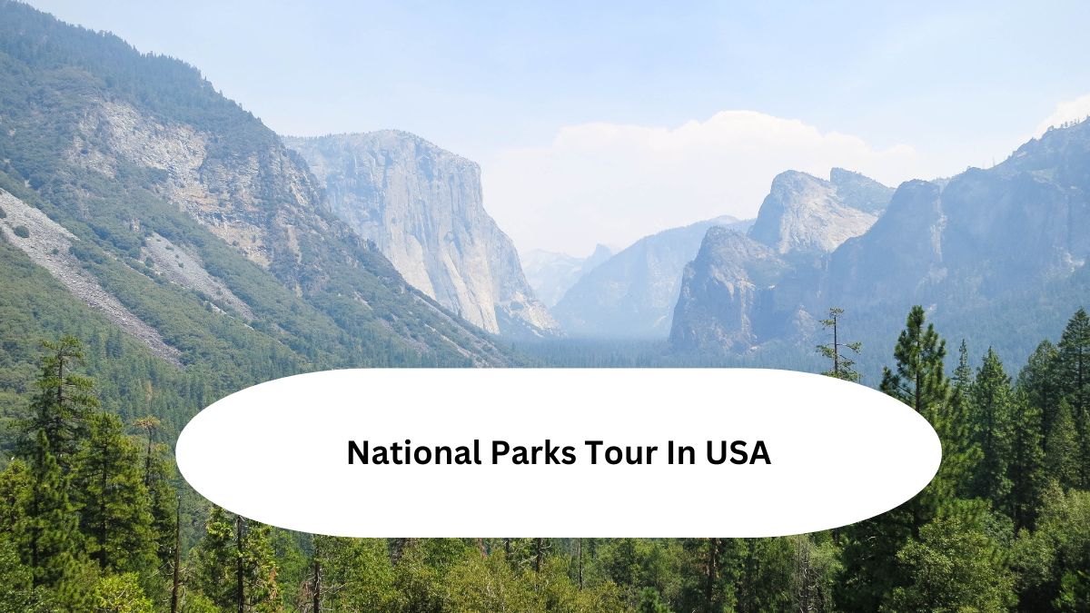 National Parks Tour In USA