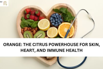 ORANGE: THE CITRUS POWERHOUSE FOR SKIN, HEART, AND IMMUNE HEALTH