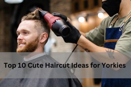 Top 10 Cute Haircut Ideas for Yorkies