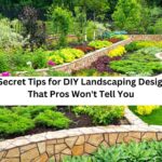 4 Secret Tips for DIY Landscaping Designs That Pros Won't Tell You