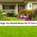 19 Things You Should Never Do To Your Lawn