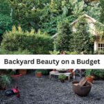 Backyard Beauty on a Budget