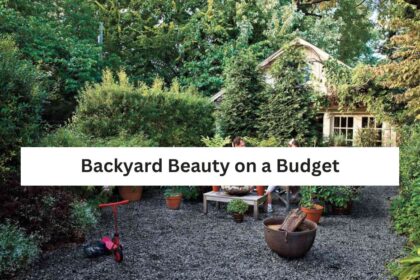 Backyard Beauty on a Budget