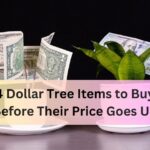 4 Dollar Tree Items to Buy Before Their Price Goes Up