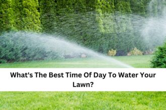 What's The Best Time Of Day To Water Your Lawn