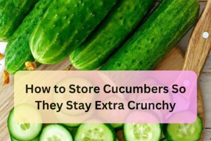 How to Store Cucumbers So They Stay Extra Crunchy